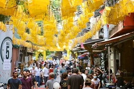 De nombreuses activités intéressantes en écho à la Journée vietnamienne du patrimoine