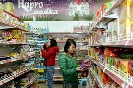 Les produits vietnamiens à la conquête du marché de l’ASEAN