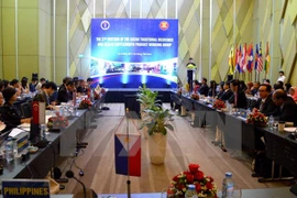 Réunion sur la médecine traditionnelle et les aliments fonctionnels de l'ASEAN