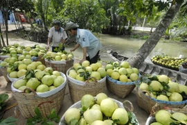 Bond des exportations nationales de fruits et légumes