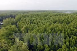 Programme national de réduction de la déforestation