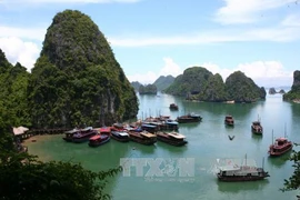 Dossier de la baie d’Ha Long élargie pour une réinscription au patrimoine naturel mondial 