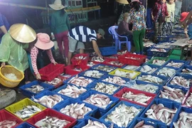 Les exportations aquatiques en légère baisse