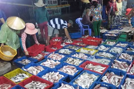 Les exportations aquatiques en légère baisse