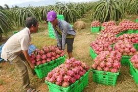 Le commerce bilatéral Vietnam-Chine atteint 106 milliards de dollars en 2018