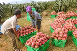 Le commerce bilatéral Vietnam-Chine atteint 106 milliards de dollars en 2018