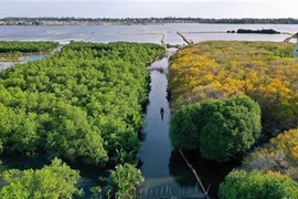 Vietnam, un des pays les plus riches en biodiversité