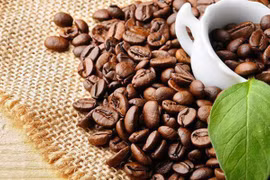 Elever la valeur ajoutée du café du Vietnam