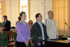 Lam Dong: Condamnation de trois accusés de 6 à 7 ans de prison pour actes subversifs