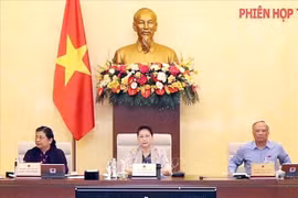 Le Comité permanent de l'AN adopte une résolution sur l'investissement public en 2021-2025