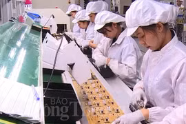 Binh Duong, destination attrayante pour les entreprises japonaises