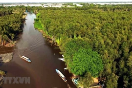 Changement climatique: Solutions pour réduire l'affaissement des terres dans le delta du Mékong