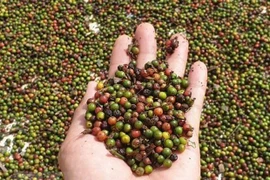 L’EVFTA ouvre grand la porte aux produits agricoles vietnamiens