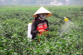 Deux districts de la province de Thanh Hoa atteignent les normes de la Nouvelle ruralité