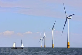 Le Vietnam devient le marché solaire le plus en vogue en Asie du Sud-Est