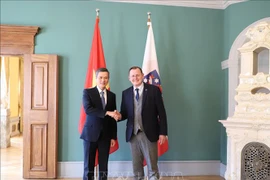 Le Vietnam et le Land allemand de Thuringe intensifient leur coopération