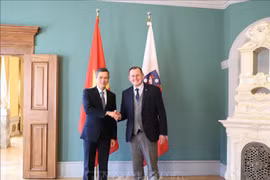 Le Vietnam et le Land allemand de Thuringe intensifient leur coopération