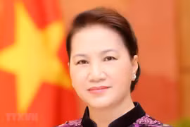 La coopération parlementaire donne une nouvelle impulsion aux relations Vietnam-Russie