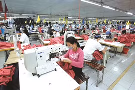  La diversification des marchés à l’export est impérative
