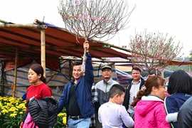  Le Têt traditionnel et les tabous des Vietnamiens