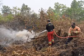 Indonésie : Fermeture forcée des écoles et aéroports à cause des incendies de forêt