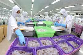 Les exportateurs de crevettes vietnamiens vers les États-Unis bénéficieront de droits nuls