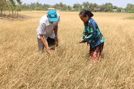 Les provinces du delta du Mékong reçoivent de l'aide pour faire face à la sécheresse ​
