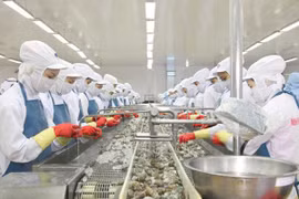 Vietnam - Royaume-Uni: un accord de libre-échange bilatéral attendu