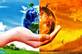  Le Vietnam résiste au changement climatique