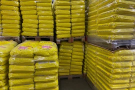 Le riz vietnamien renforce sa présence sur le marché suédois