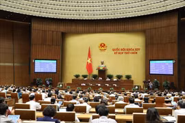 9e session de l’AN: approbation de la résolution sur le programme de supervision de l'AN en 2021