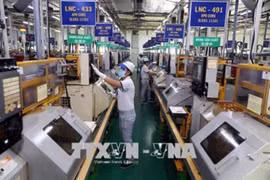 Les entreprises d'IDE émettent des idées pour la croissance de HCM-Ville