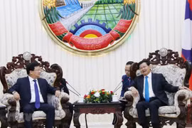 Les relations entre le Vietnam et le Laos se développent bien
