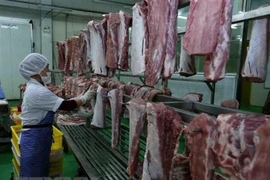 Des solutions pour lutter contre la peste porcine africaine discutées