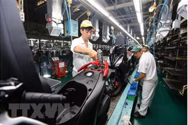 Fitch Solutions : Le Vietnam enregistre sa plus forte croissance depuis 10 ans
