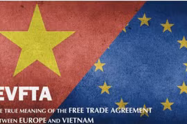 La VCCI intensifie la communication sur l’EVFTA