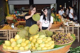 Bên Tre et Hô Chi Minh-Ville cherchent à établir leurs liens commerciaux