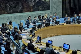 Le Conseil de sécurité de l'ONU discute de la situation du Mali sous la présidence du Vietnam