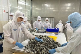 Forte hausse des exportations vietnamiennes de crevettes aux Etats-Unis