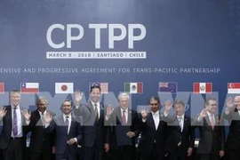 Le CPTPP profite énormément aux entreprises vietnamiennes