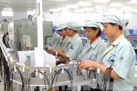 Hô Chi Minh-Ville: près de 1.900 entreprises créées à la mi-janvier