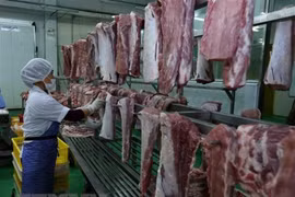 Des solutions pour lutter contre la peste porcine africaine discutées