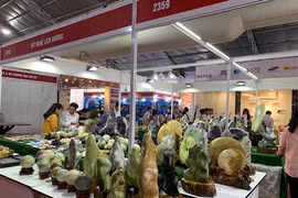 Ouverture de Vietbuild Home 2019 à Hô Chi Minh-Ville