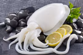 Les exportations nationales de céphalopodes retrouvent des couleurs