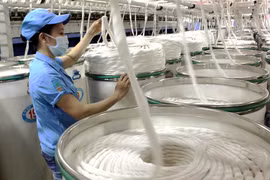 1er semestre: les exportations vietnamiennes de fibres textiles dépassent deux milliards de dollars