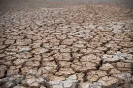 Le delta du Mékong sera confronté à une salinité plus sévère et à des sécheresses