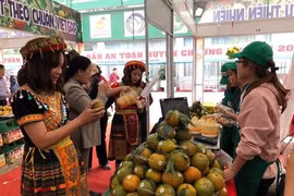 Bientôt la Semaine des oranges de Hà Giang à Hanoï