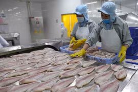 Le portail aide les entreprises du delta du Mékong à obtenir des informations sur l’EVFTA ​ ​