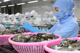 EVFTA: Exonération des taxes douanières sur 212 produits aquatiques vietnamiens à partir du 1er août