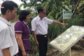  La route des cartes de Binh Duong